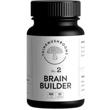 Brain Builder