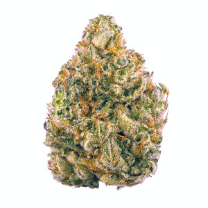 AK-47-strain.jpg