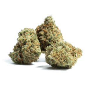 Amnesia-Haze-Strain-min.png