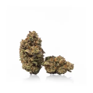 Animal-Cookies-strain-1.webp
