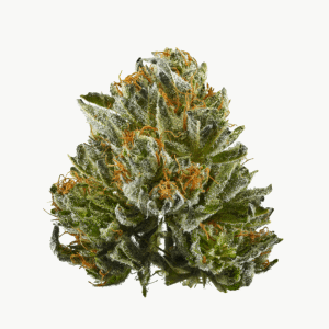 Bubba-Kush-Strain-min.png