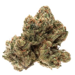 OG-Kush-Strain.jpg