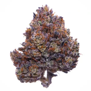 Purple-Haze-Strain.webp