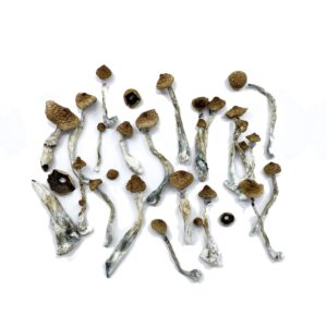 Thai-Strain-1-NEW-3.jpg