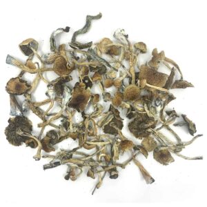 Transkei-bulk-1.jpg
