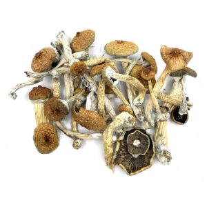 bluemeanies-bulk.jpg