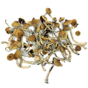 costarica-bulk.jpg