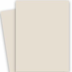 Curious Skin Stone Paper and Board